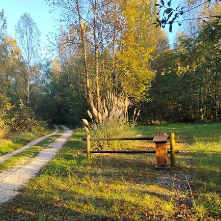 La Terrasse Du 別荘 *
